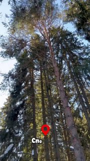 По просьбе ветеранов Лениского района моя команда...